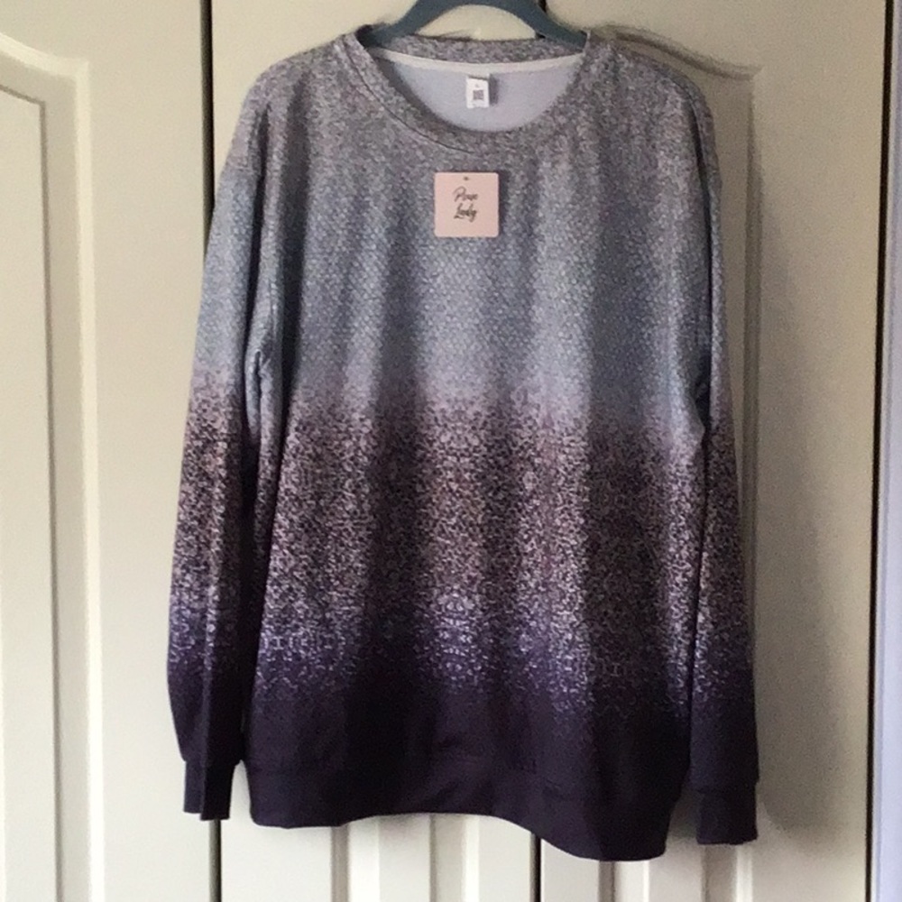 NWTPixie Lady Long Sleeve Crewneck Top Size XL Grey/Brown/Blue Ombre
